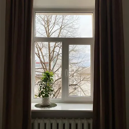 Vee 4 Apartment *